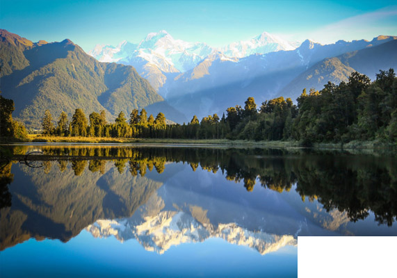 International Removals New Zealand
