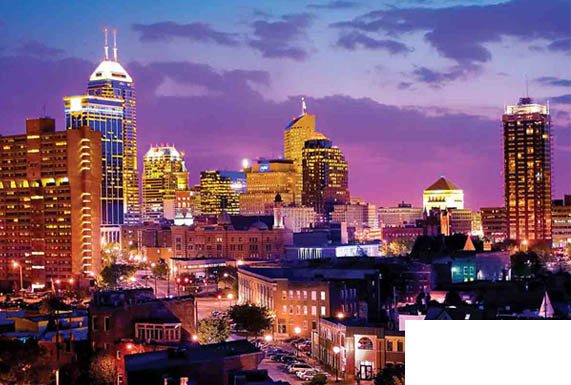 International Removals To USA